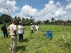 Koperasi IJP Maju Sejahtera Gandeng Kelompok Tani Lampung Timur