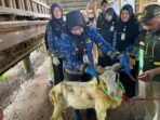Lampung Kerahkan 1.229 Petugas Awasi Hewan Kurban Iduladha