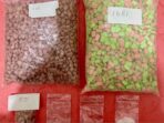 Satresnarkoba Polres Lampung Tengah Gagalkan Penyelundupan 2.848 Pil Ekstasi dan 5,1 Gram Sabu