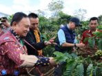 PHC Ubah Wajah Perkebunan Kopi Lampung