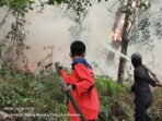 Dua Titik Karhutla di Tulang Bawang dan Lamteng Terkendali