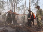 Kepala BNPB Cek Penanganan Karhutla Way Kambas