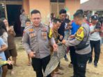 Polisi Bersama Damkar Evakuasi Buaya di Kotabumi Ilir